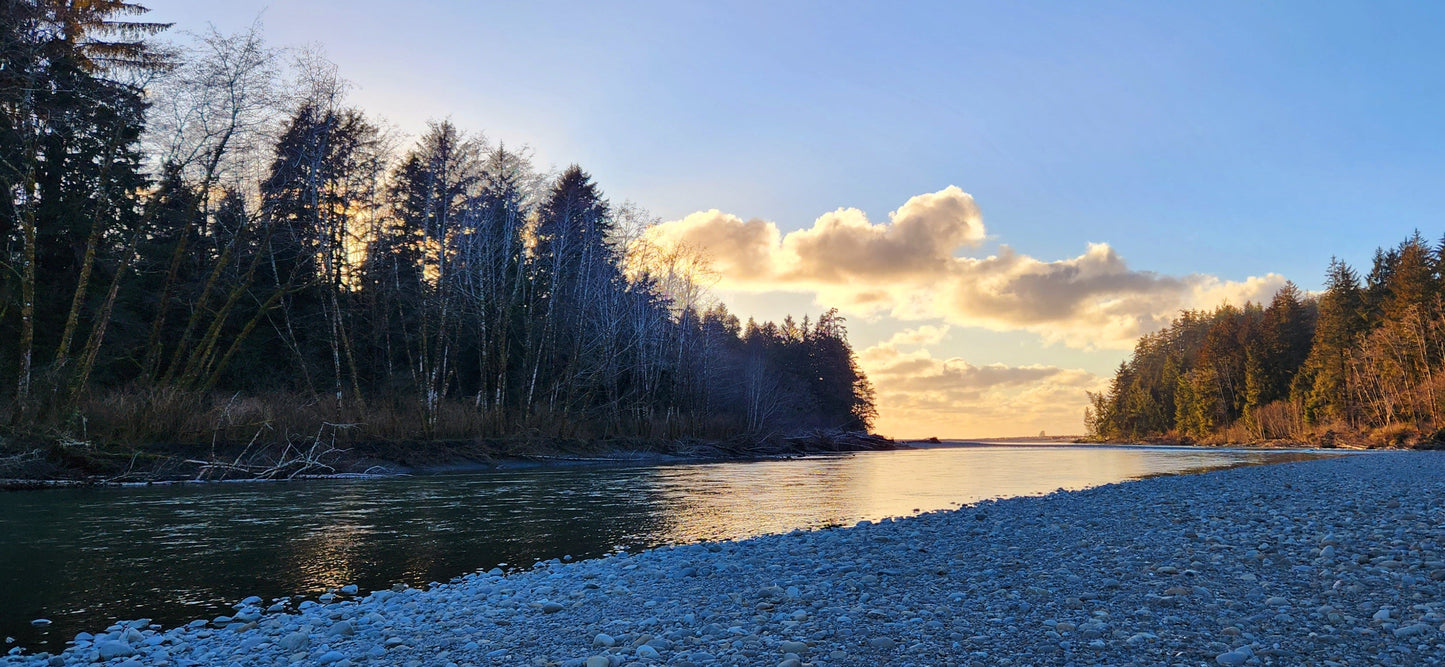 Olympic Peninsula (WA) - Hoh River