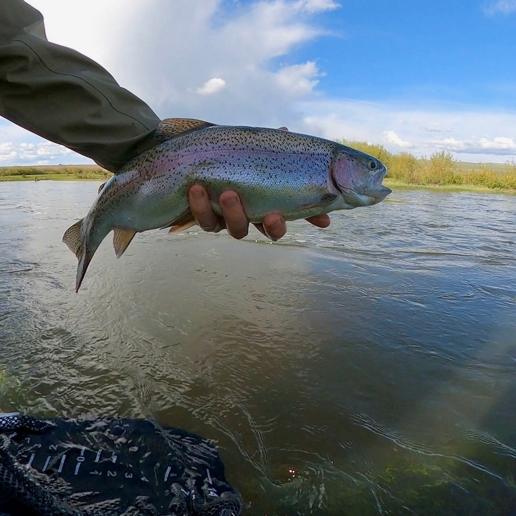 Hams Fork River (WY)
