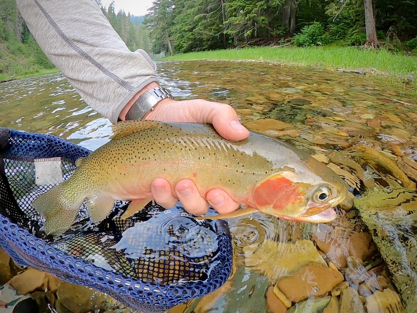Coeur d'Alene River (ID), North Fork