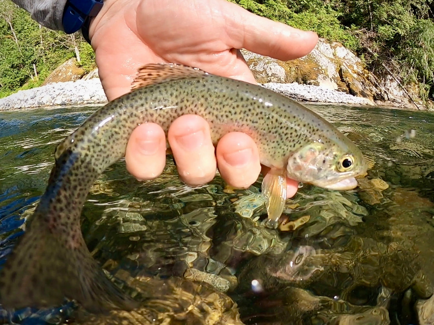 Snoqualmie River (WA), Middle Fork