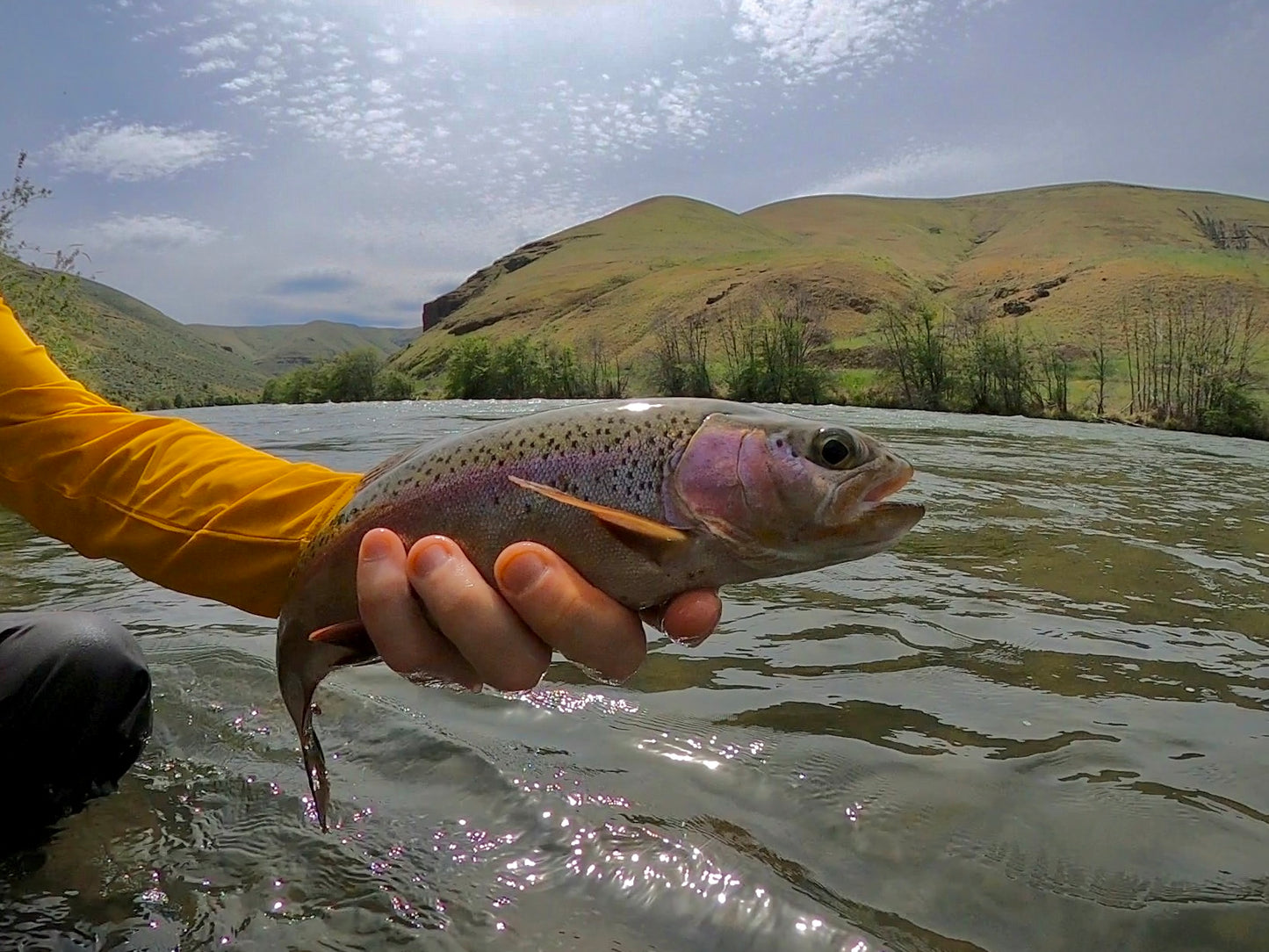 Lower Deschutes River (OR)