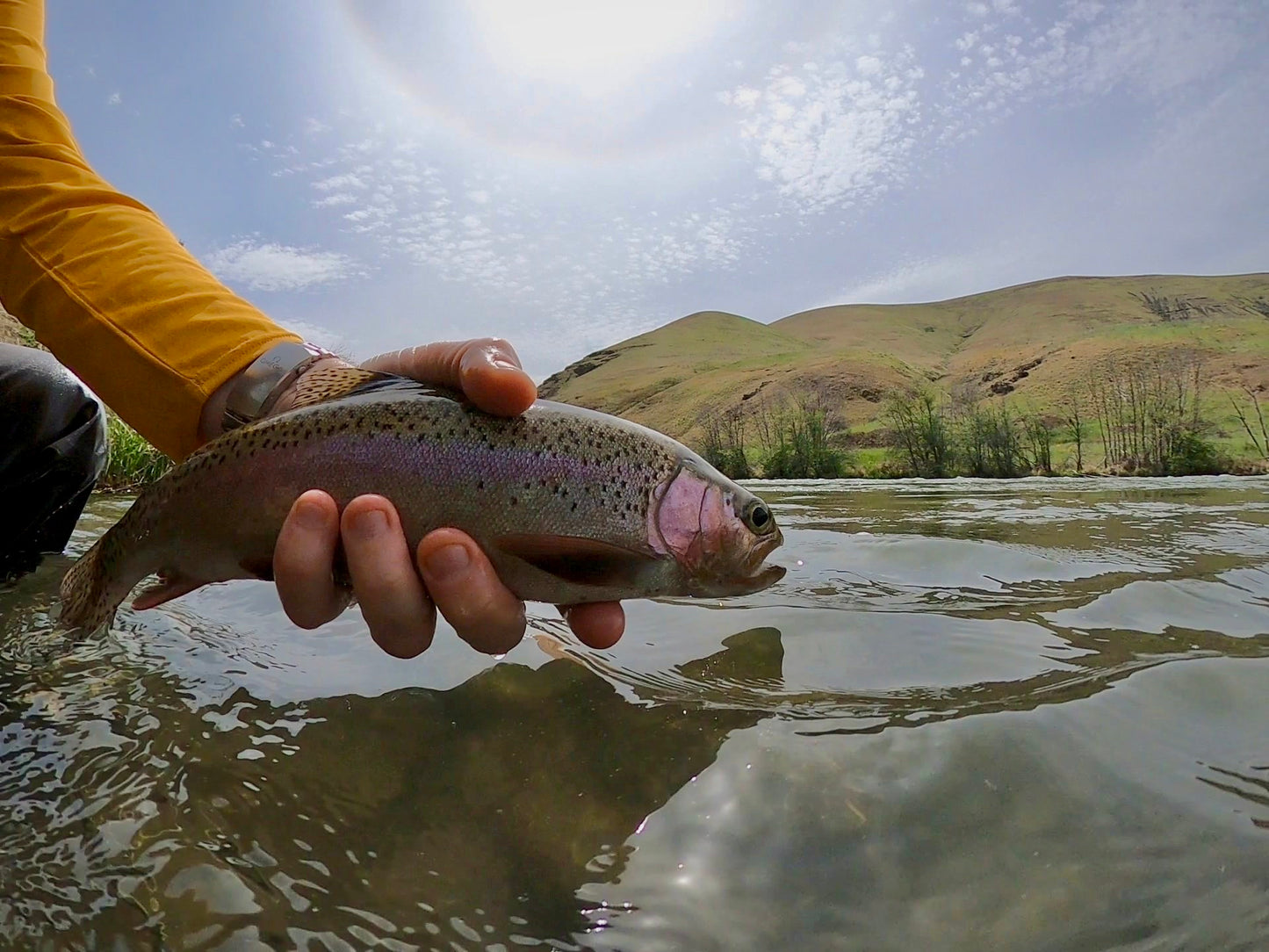 Lower Deschutes River (OR)