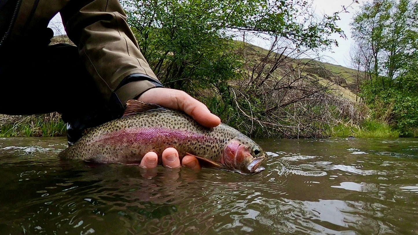 Lower Deschutes River (OR)