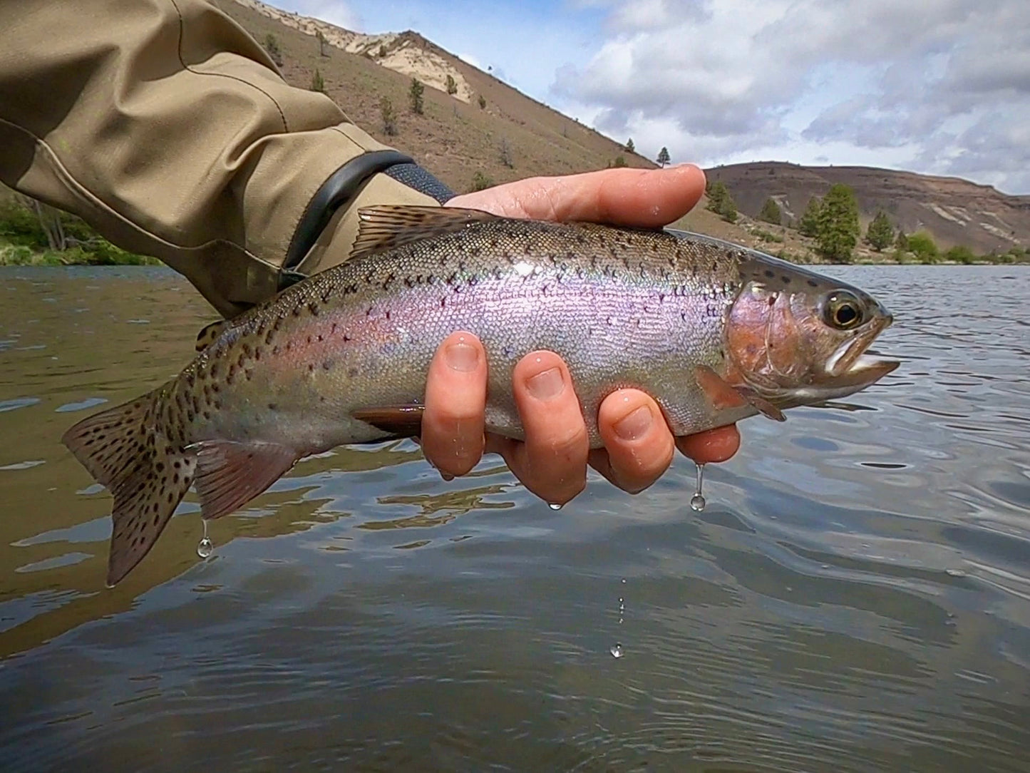 Lower Deschutes River (OR)