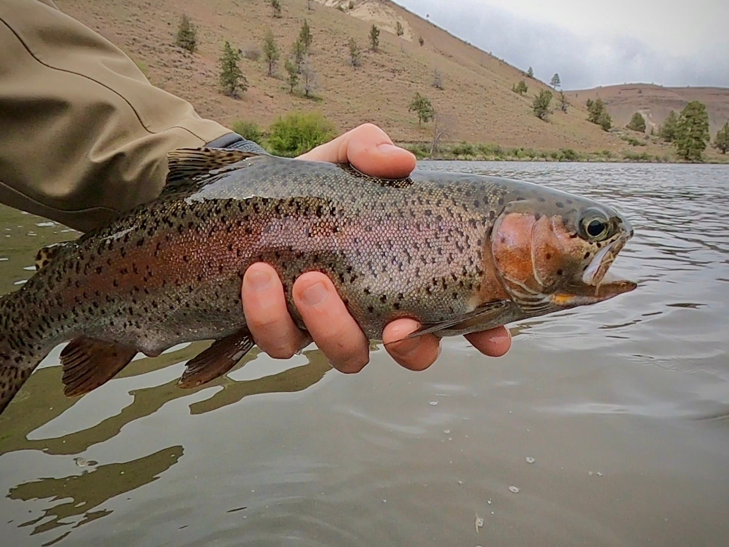 Lower Deschutes River (OR)
