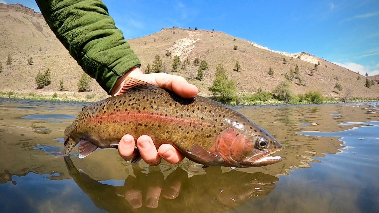 Lower Deschutes River (OR)