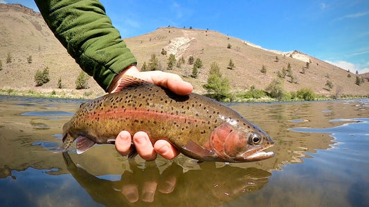 Lower Deschutes River (OR)