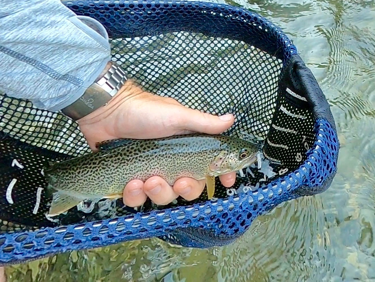 Snoqualmie River (WA), Middle Fork
