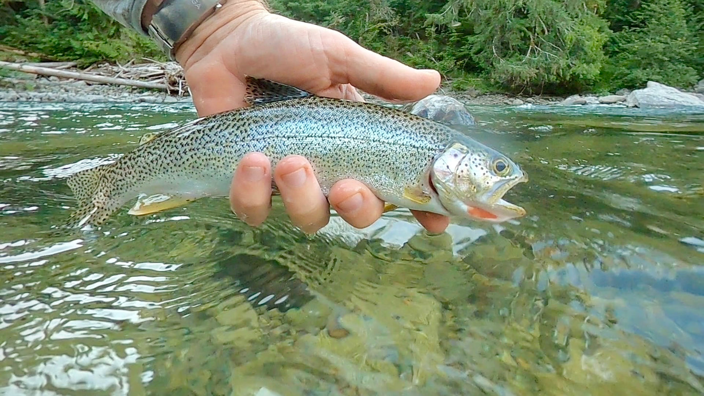 Snoqualmie River (WA), Middle Fork