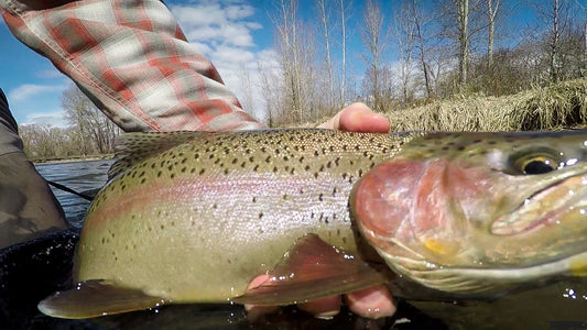 Yakima River (WA)