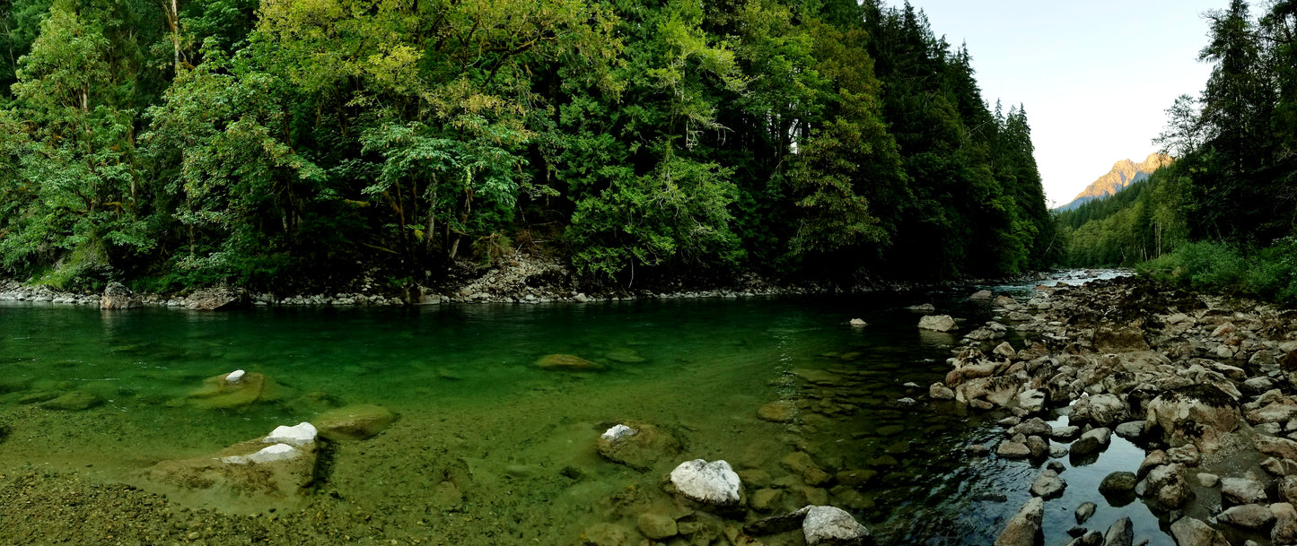 Snoqualmie River (WA), Middle Fork