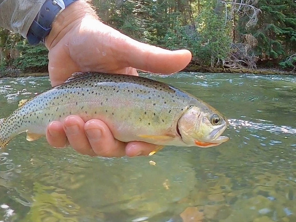 Upper Naches Valley (WA)