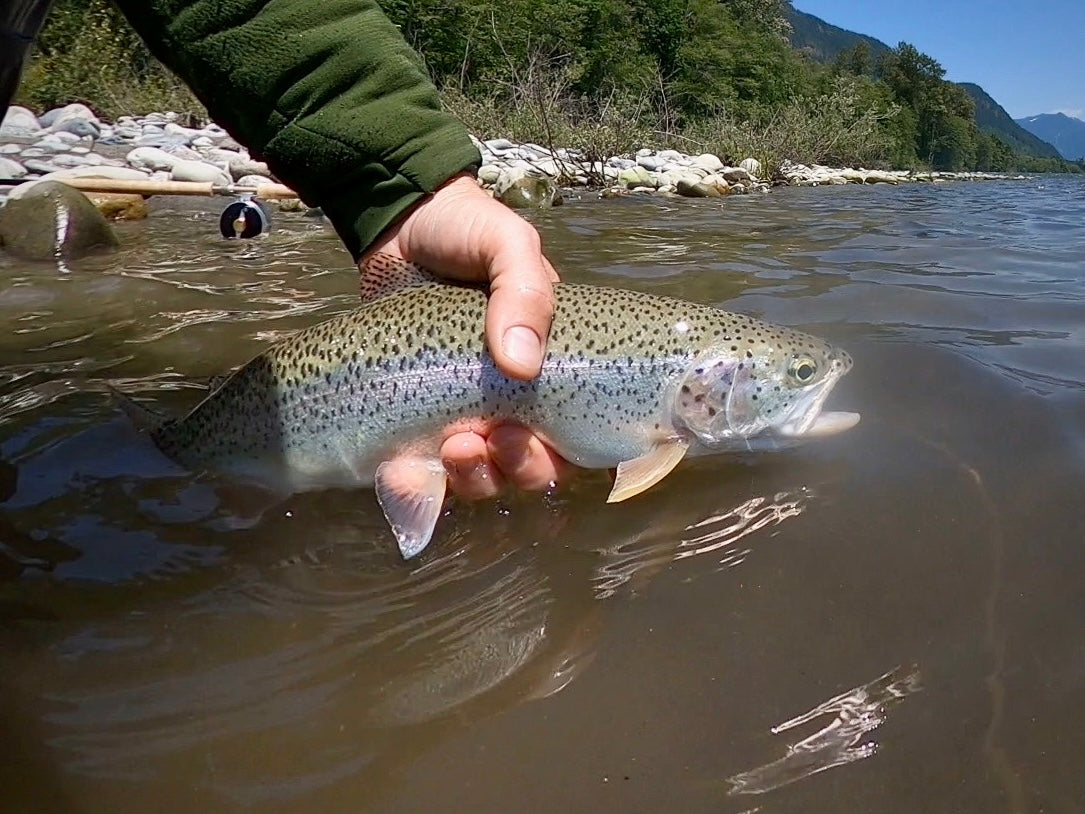 Skagit River (WA)