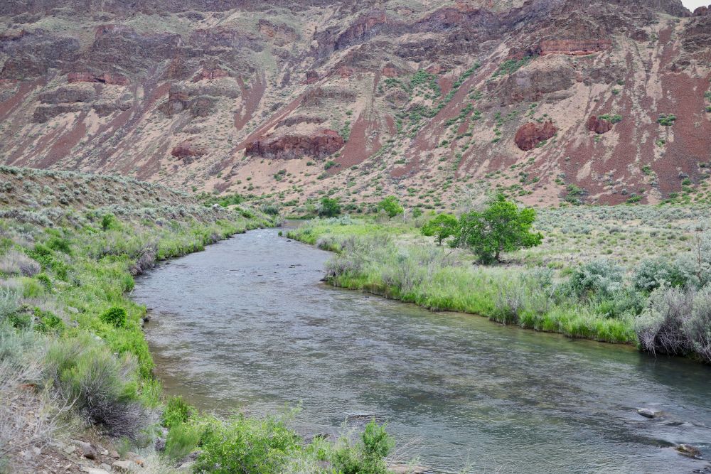 Owyhee River (OR)