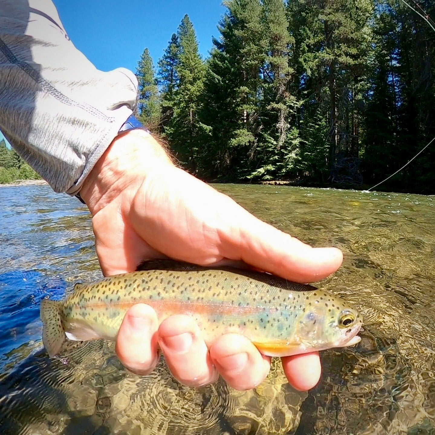 Upper Naches Valley (WA)