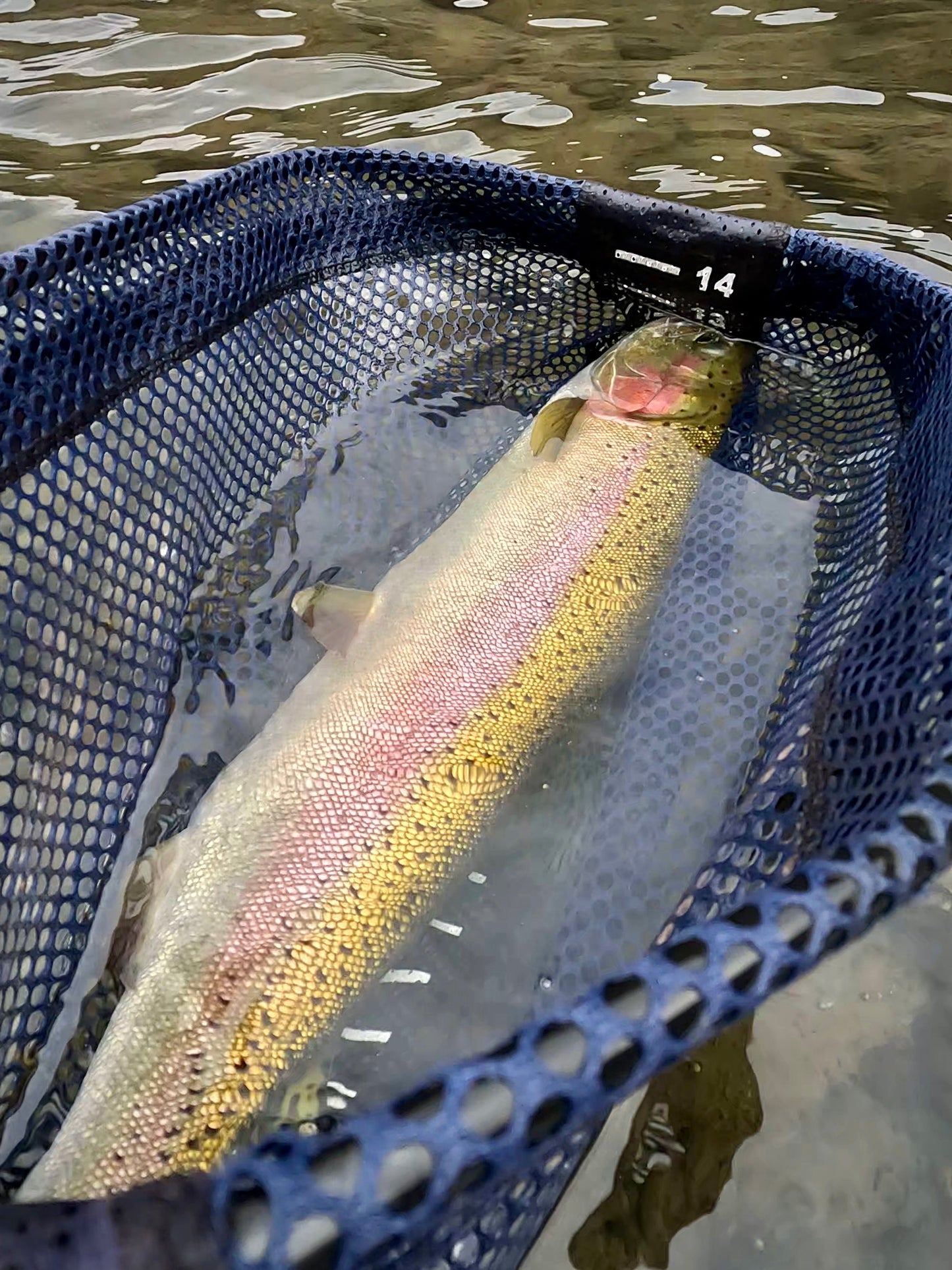 Grande Ronde River (WA)