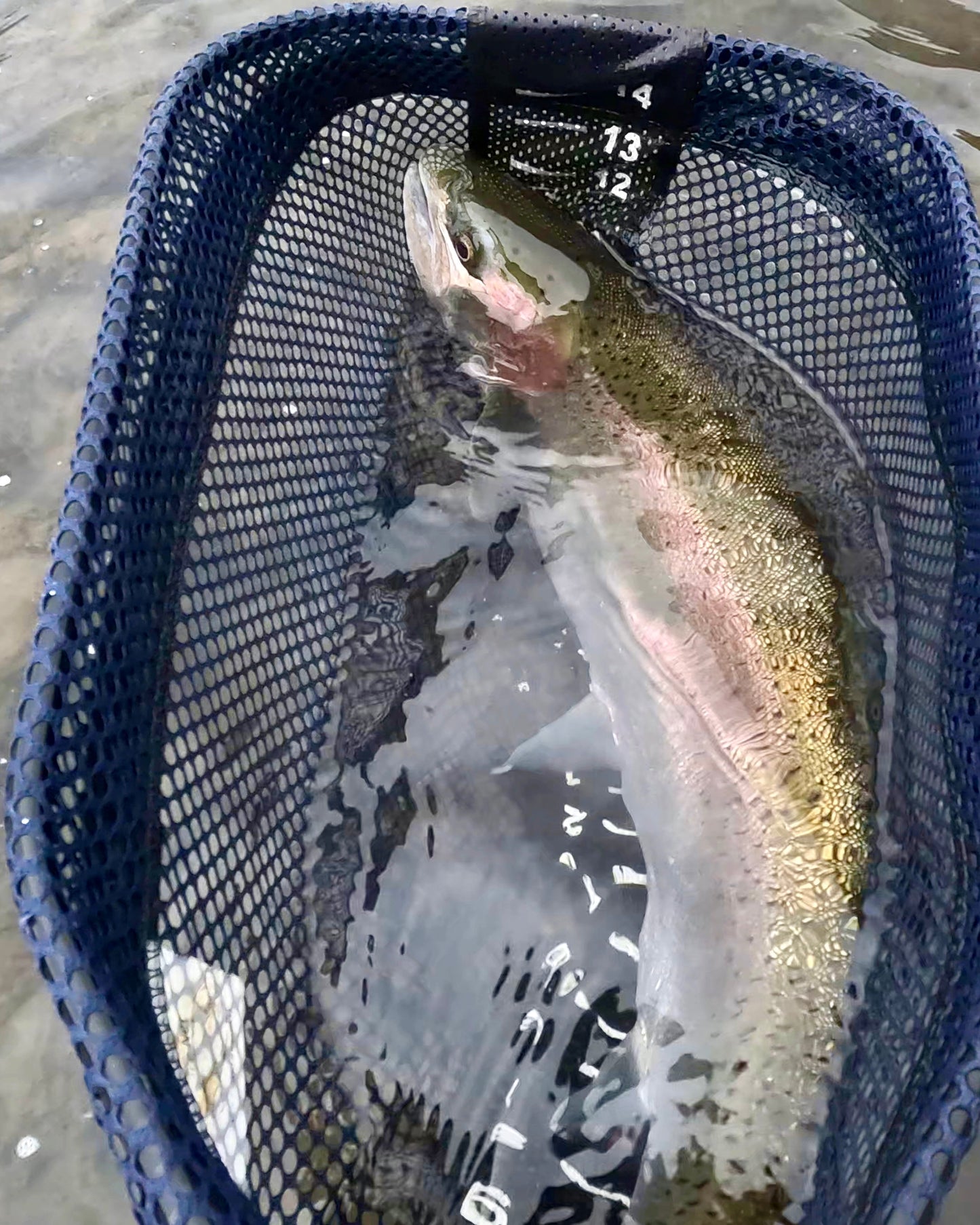 Grande Ronde River (WA)