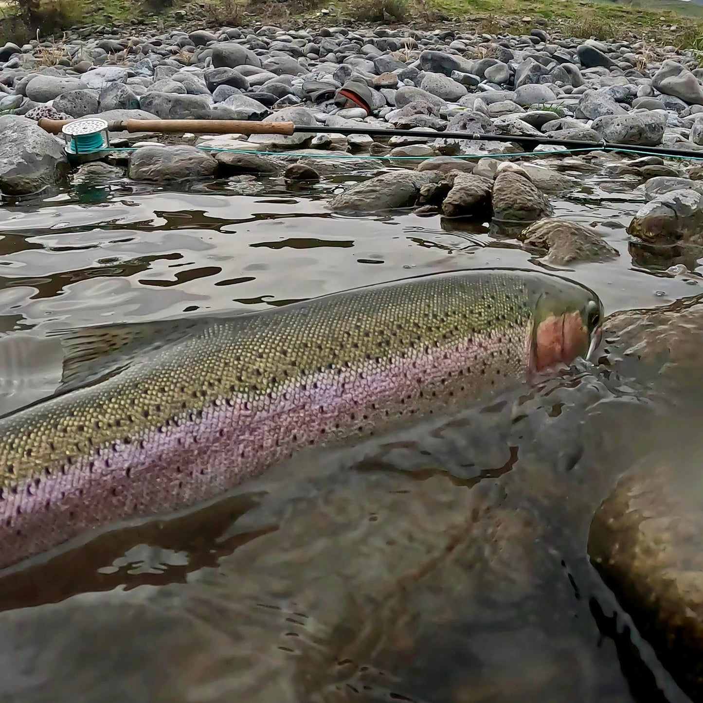 Grande Ronde River (WA)