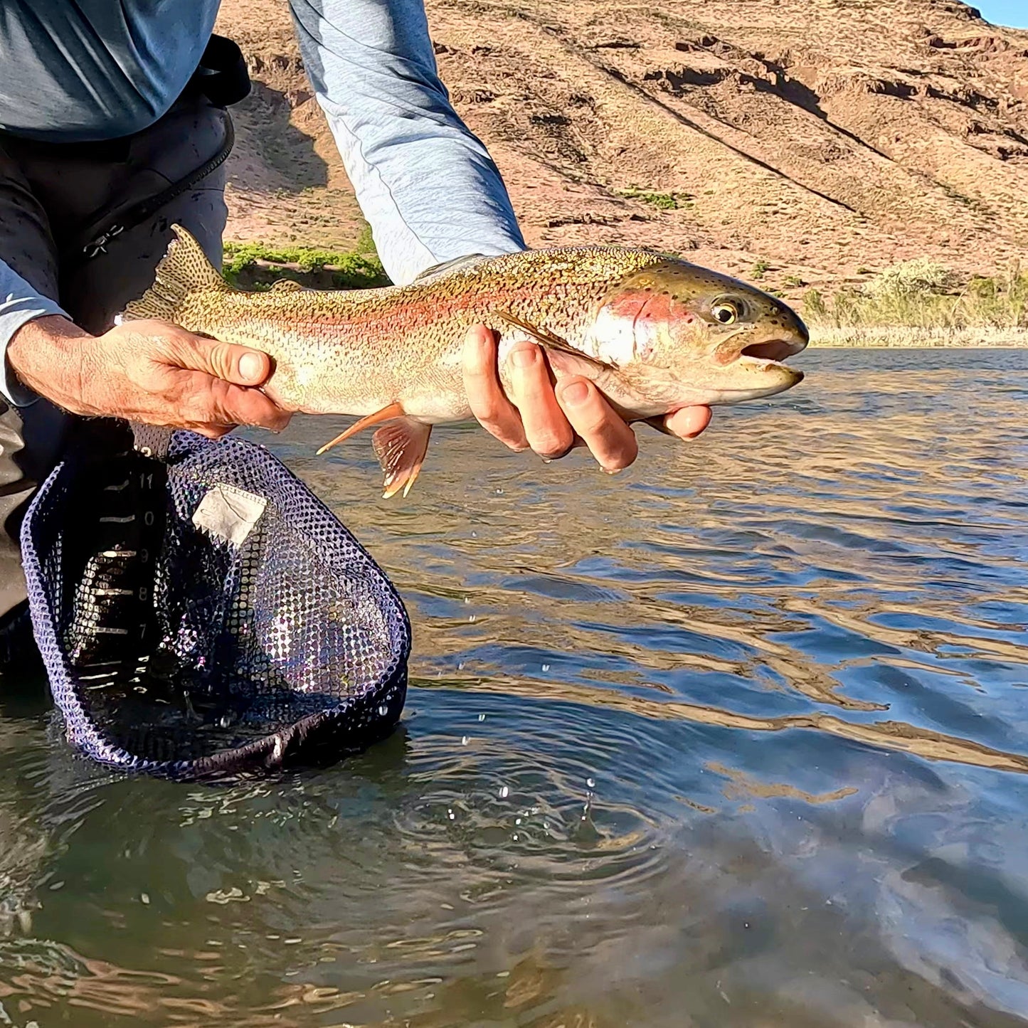 Owyhee River (OR)