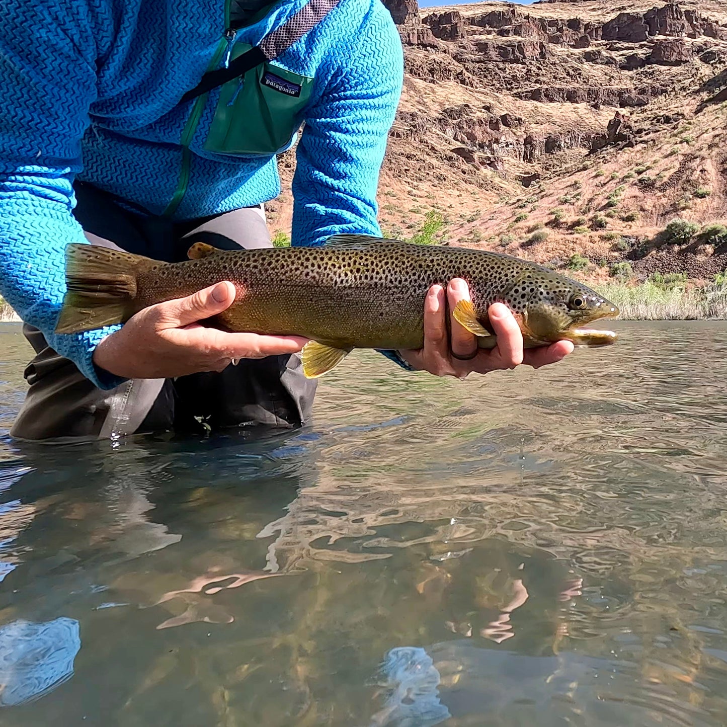 Owyhee River (OR)