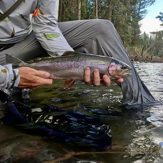 Upper Henry's Fork (ID)