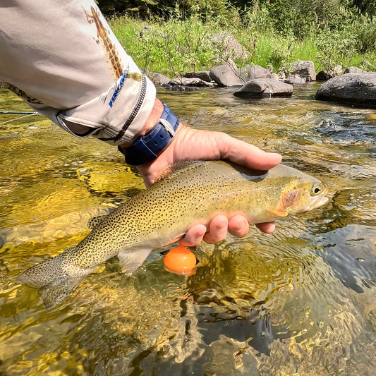 Clearwater River (ID), North Fork and Kelly Creek