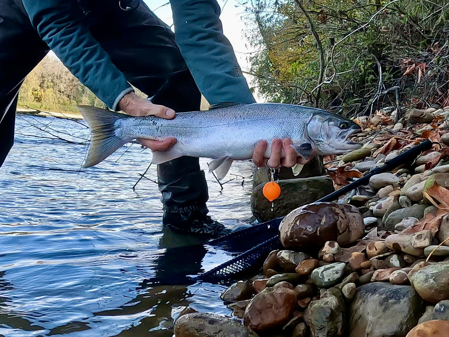 Skagit River (WA)