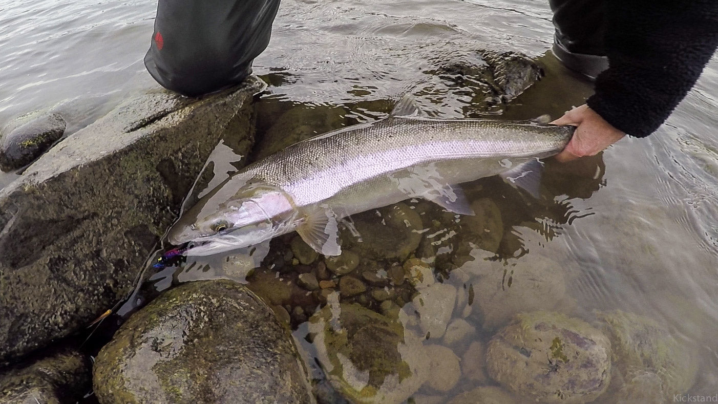 Skagit River (WA)