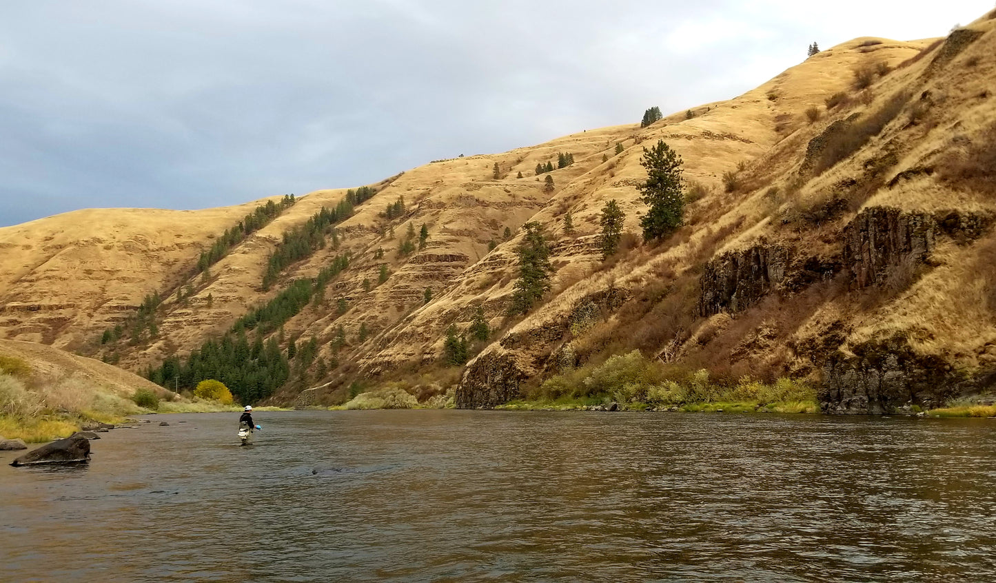 Grande Ronde River (WA)