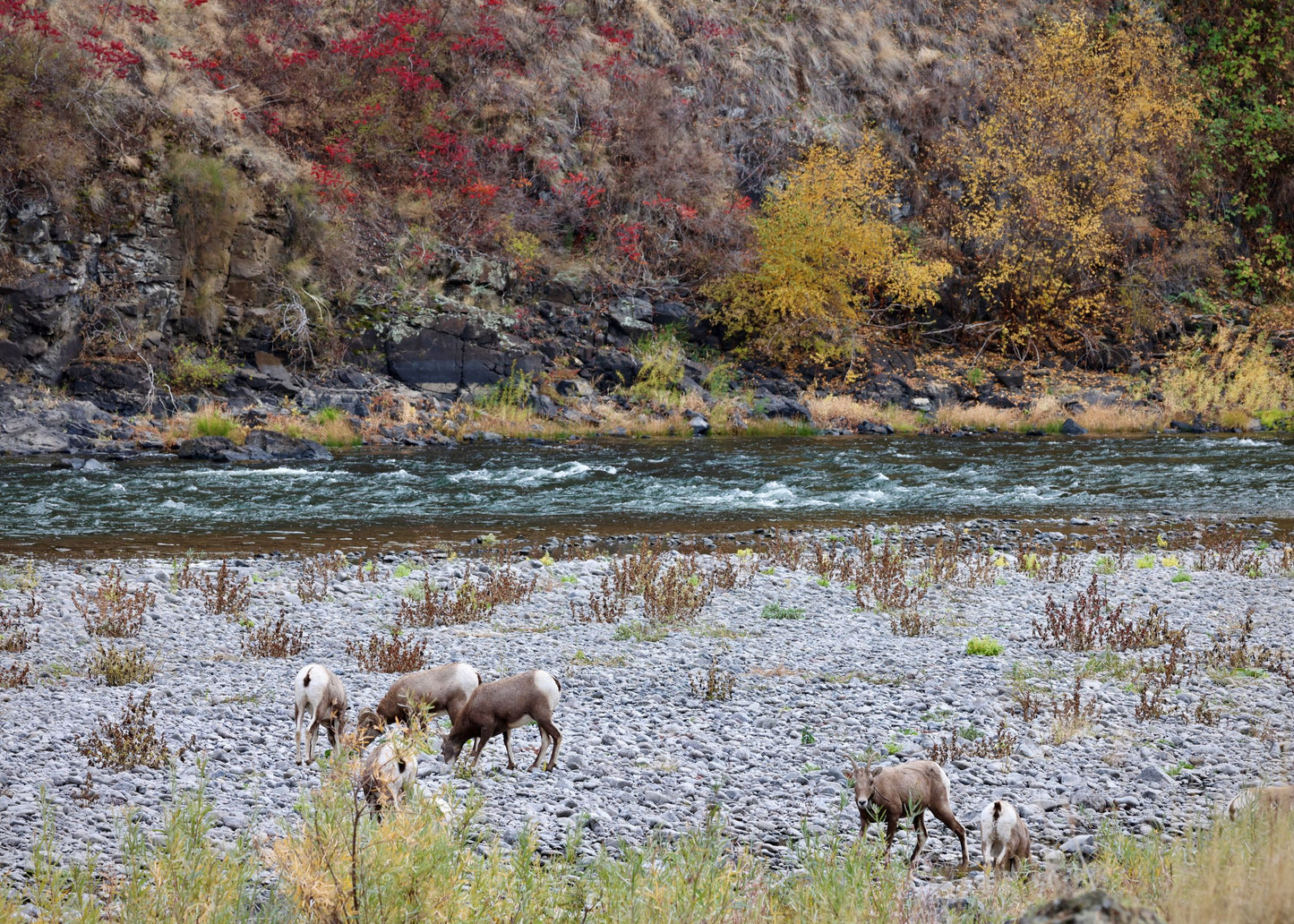 Grande Ronde River (WA)