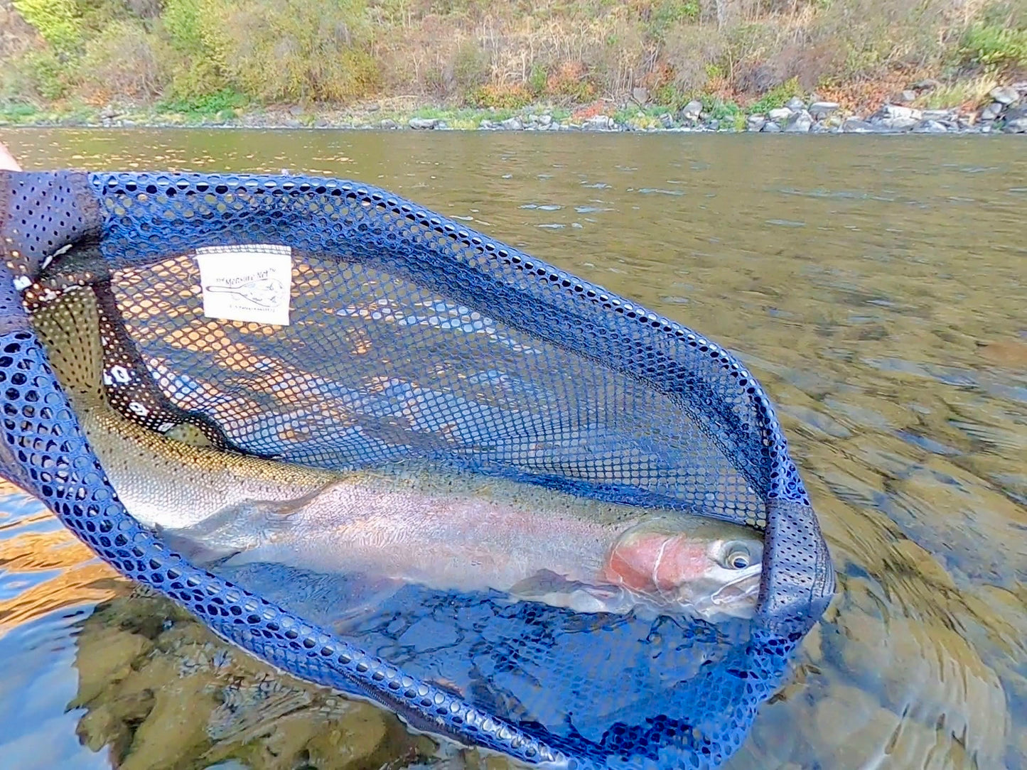 Grande Ronde River (WA)