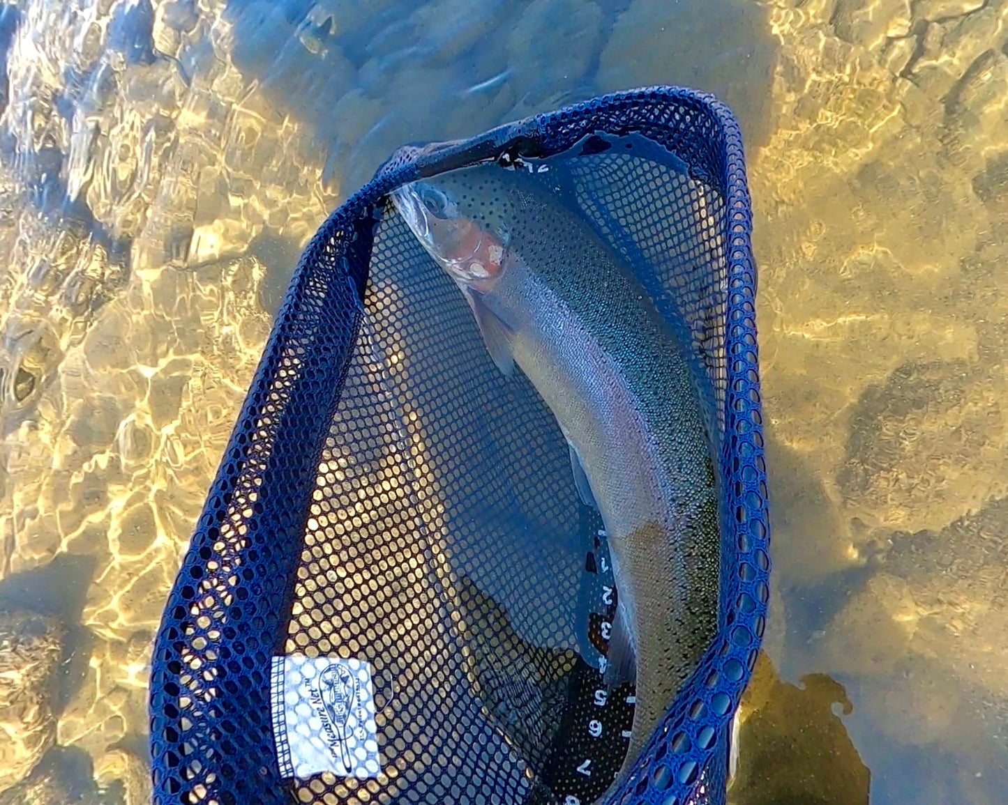 Grande Ronde River (WA)