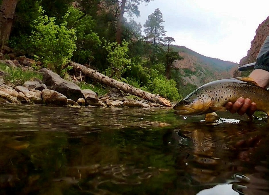 Green River (UT) - Section A and upper B