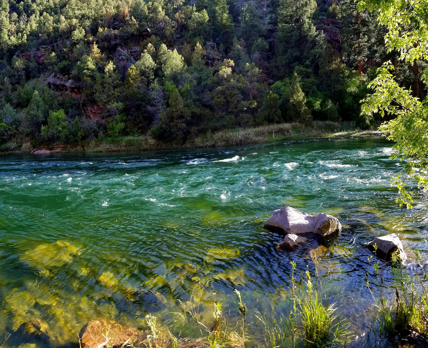 Green River (UT) - Section A and upper B