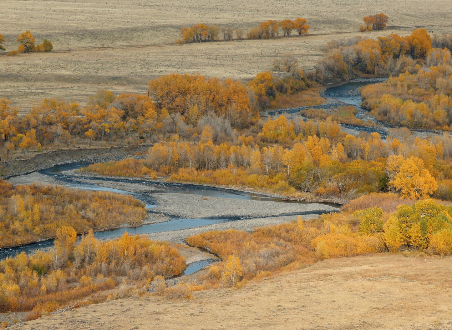 Greybull River (WY)