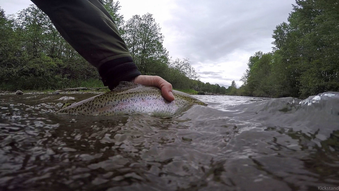 Yakima River (WA)