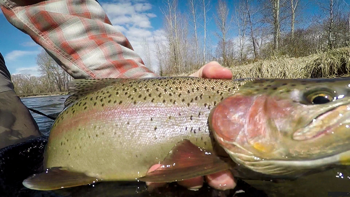 Yakima River (WA)