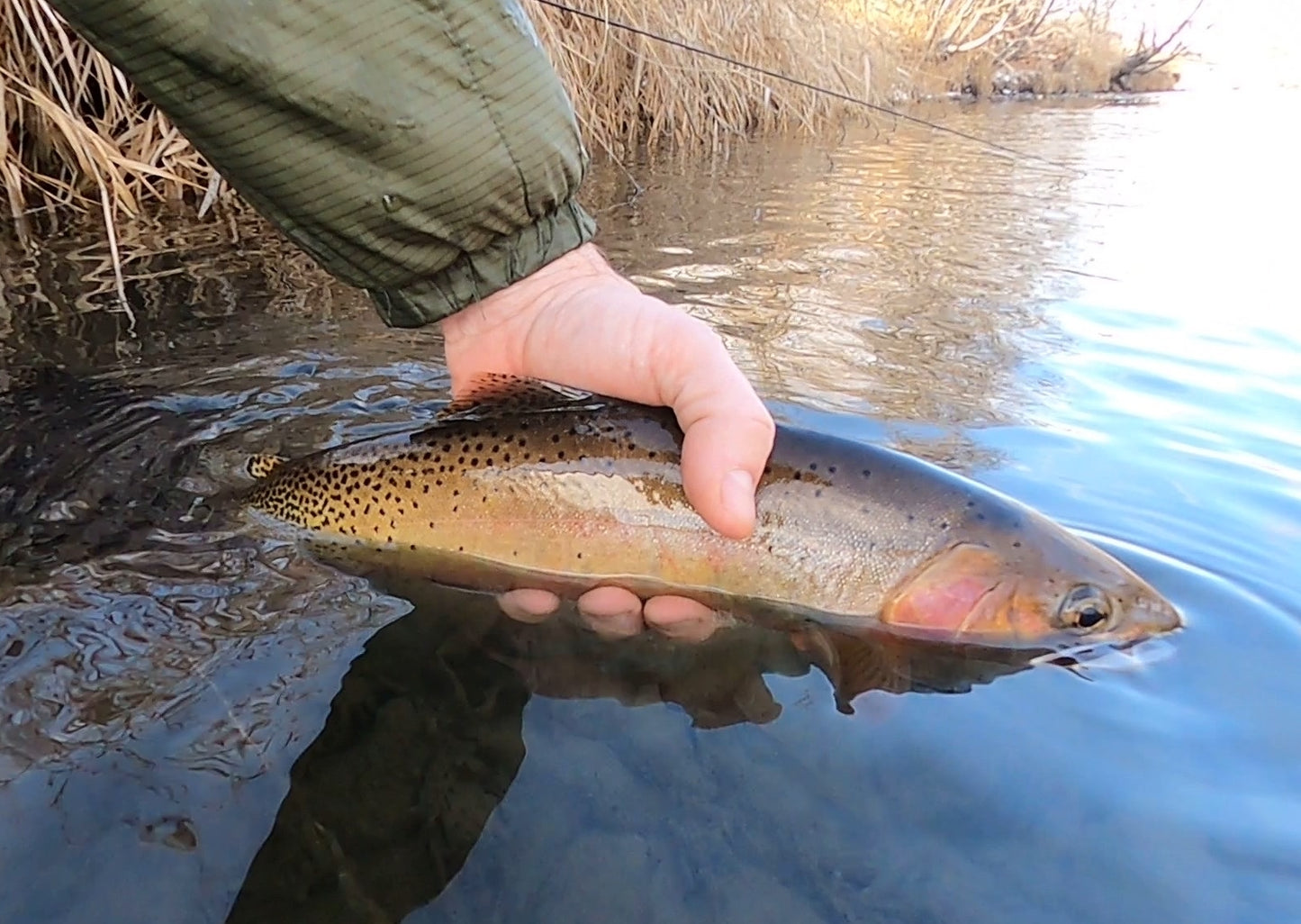 Yakima River (WA)