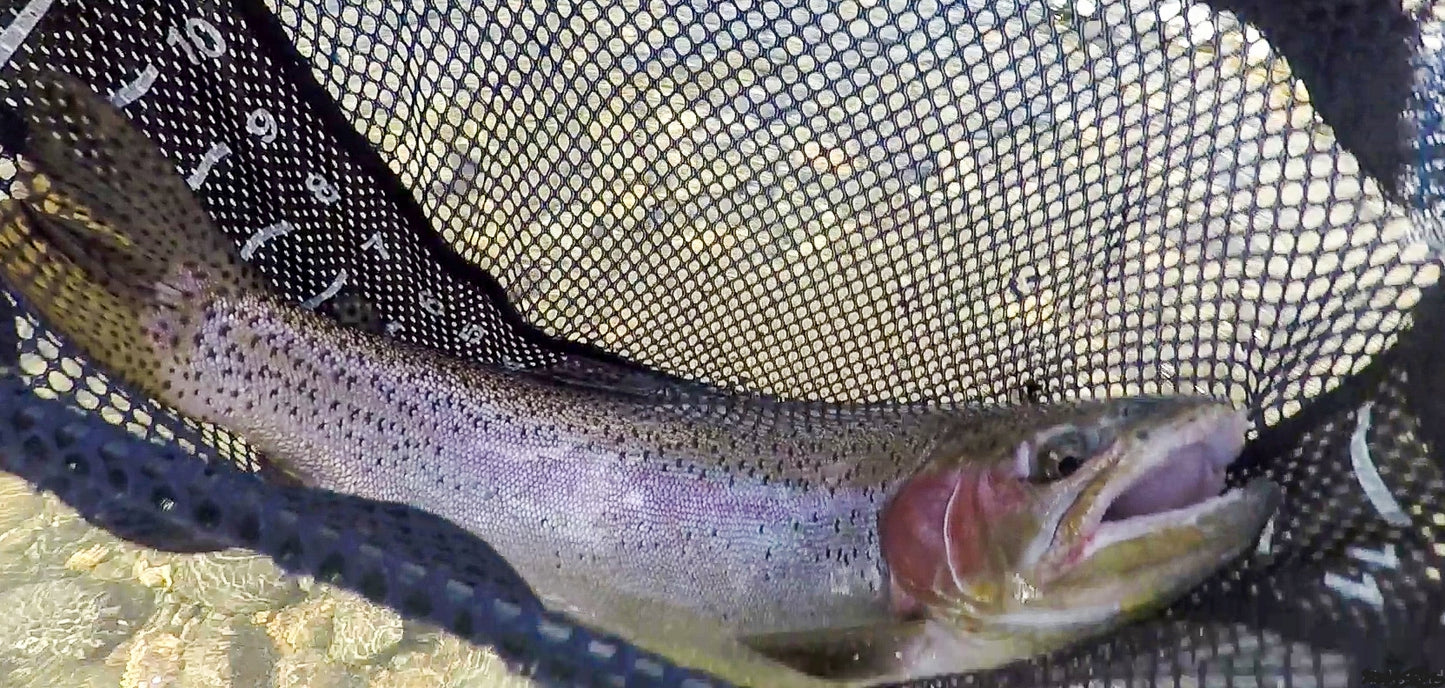 Yakima River (WA)