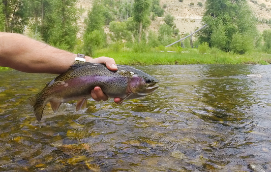 Upper Colorado River + Williams Fork (CO)